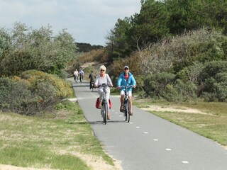 Holiday park Noordwijk Environment 31