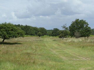 Holiday park Noordwijk Environment 40