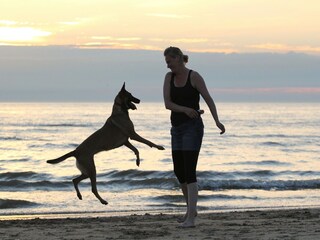 Parc de vacances Noordwijk Environnement 29