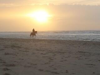 Parque de vacaciones Noordwijk Entorno 38