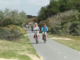 Parque de vacaciones Noordwijk Entorno 33