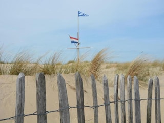 Vakantiepark Noordwijk Omgeving 38