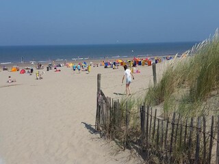 Ferienpark Noordwijk Umgebung 36
