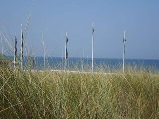 Parc de vacances Noordwijk Environnement 41