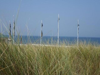 Parc de vacances Noordwijk Environnement 37