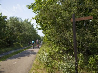 Vakantiepark Noordwijk Omgeving 17