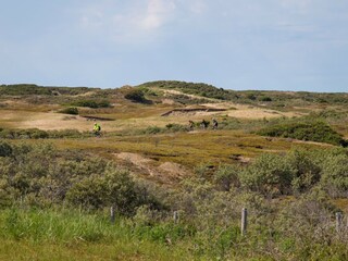 Vakantiepark Noordwijk Omgeving 22