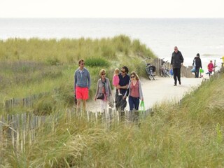 Holiday park Noordwijk Environment 36