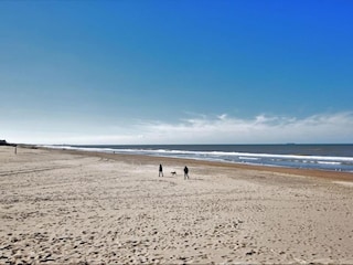 Ferienpark Noordwijk Umgebung 37