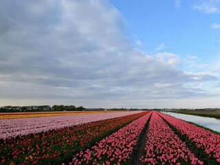 Vakantiepark Noordwijk Omgeving 33