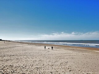 Vakantiepark Noordwijk Omgeving 37