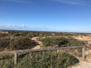 Vakantiepark Noordwijk Omgeving 38
