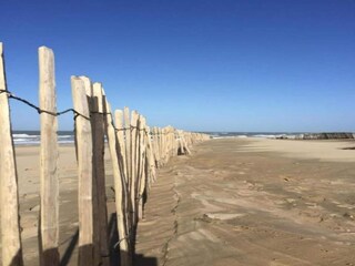 Holiday park Noordwijk Environment 35