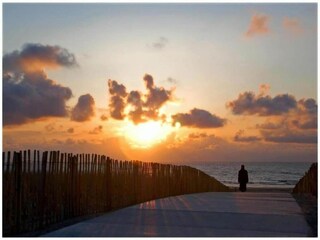 Vakantiepark Noordwijk Omgeving 32