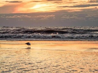 Vakantiepark Noordwijk Omgeving 39