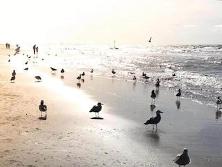 Ferienpark Noordwijk Umgebung 17