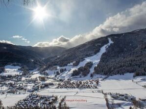 Parco vacanze Accogliente appartamento con camino - San Lorenzo di Murau - image1