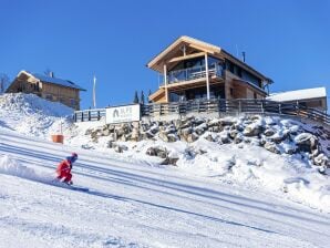 Holiday park Nice chalet with finnish sauna - Pichl - image1