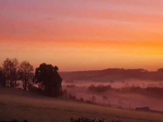 Vakantiehuis Bütgenbach Omgeving 31