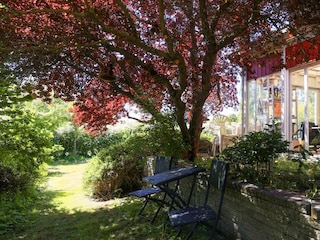 Ferienhaus Bogø  14