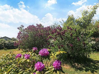 Casa de vacaciones Bogø  10