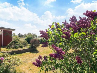 Vakantiehuis Bogø  5