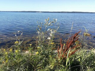 Vakantiehuis Bogø  8