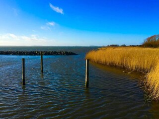 Vakantiehuis Bogø  12