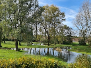 Grünfläche im Park