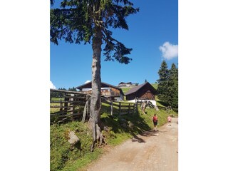 Vakantieappartement Lana  29