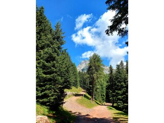 Vakantieappartement Lana  39