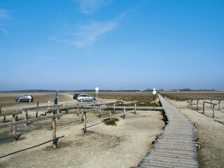 Appartement St. Peter-Ording Omgeving 24