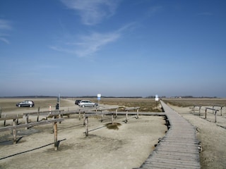 Apartment St. Peter-Ording Umgebung 21