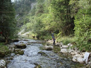 Parco vacanze Eisenerz Ambiente 34