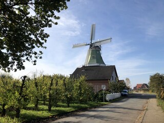 Casa de vacaciones Bassenfleth Entorno 27