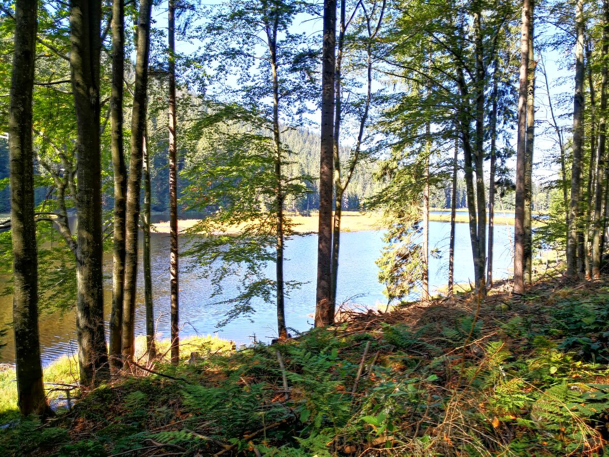 kleiner Arbersee