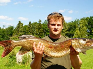 Ferienhaus Tingsryd  19