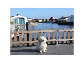 Bungalow Lemmer Outdoor Recording 3
