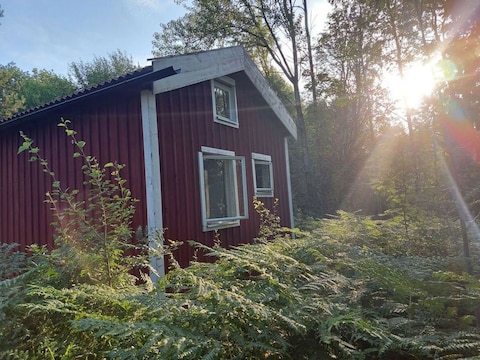 Holiday house Lille stuga