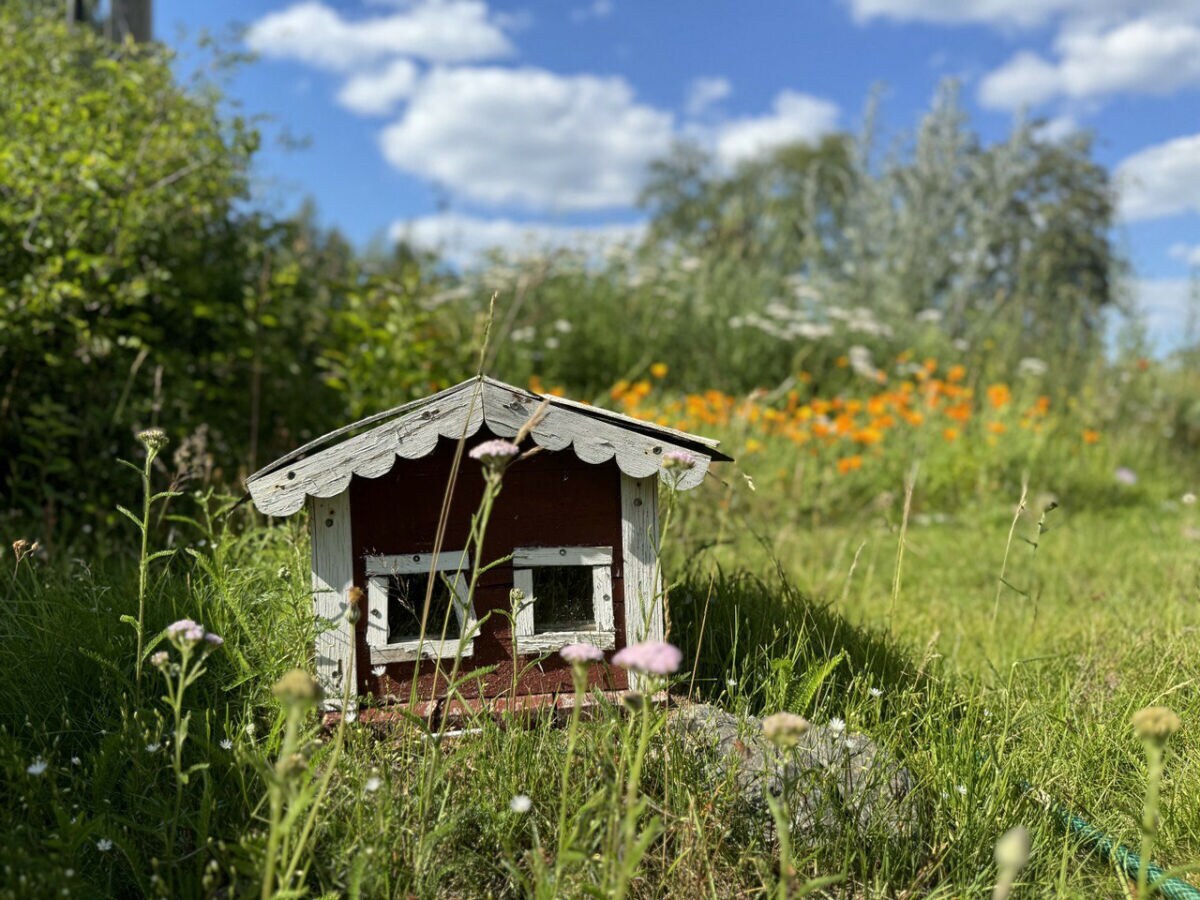 Ferienhaus Järnforsen  15