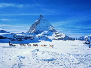 Appartement Blatten-Belalp Environnement 19