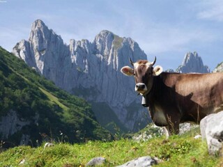 Appartamento Blatten-Belalp Ambiente 30