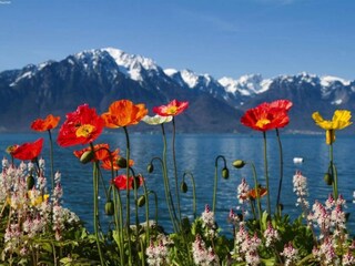 Appartamento Blatten-Belalp Ambiente 23