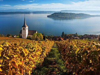 Appartement Blatten-Belalp Omgeving 34