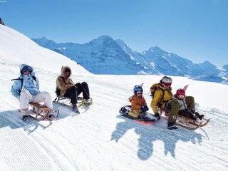 Appartement Blatten-Belalp Environnement 38