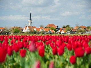 Holiday house Den Hoorn Environment 32