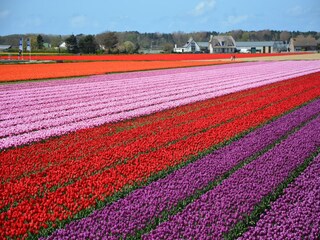 Vakantiehuis Noordwijk Omgeving 23