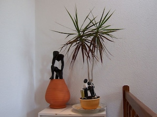 Casa per le vacanze Noordwijk  39