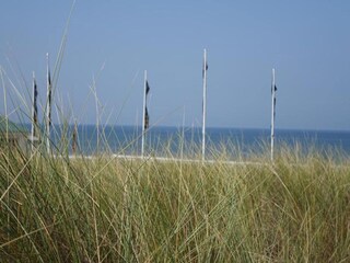 Maison de vacances Noordwijk Environnement 34