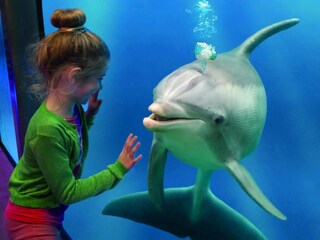 Casa per le vacanze Breskens Ambiente 30